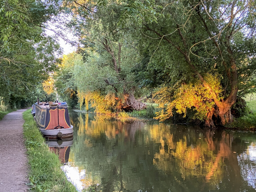 Autumn foliage along a UK canal with Boutique Narrowboat in the background