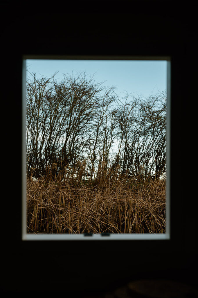 View from a narrowboat side hatch looking out onto a quiet canal lined with bare winter trees.